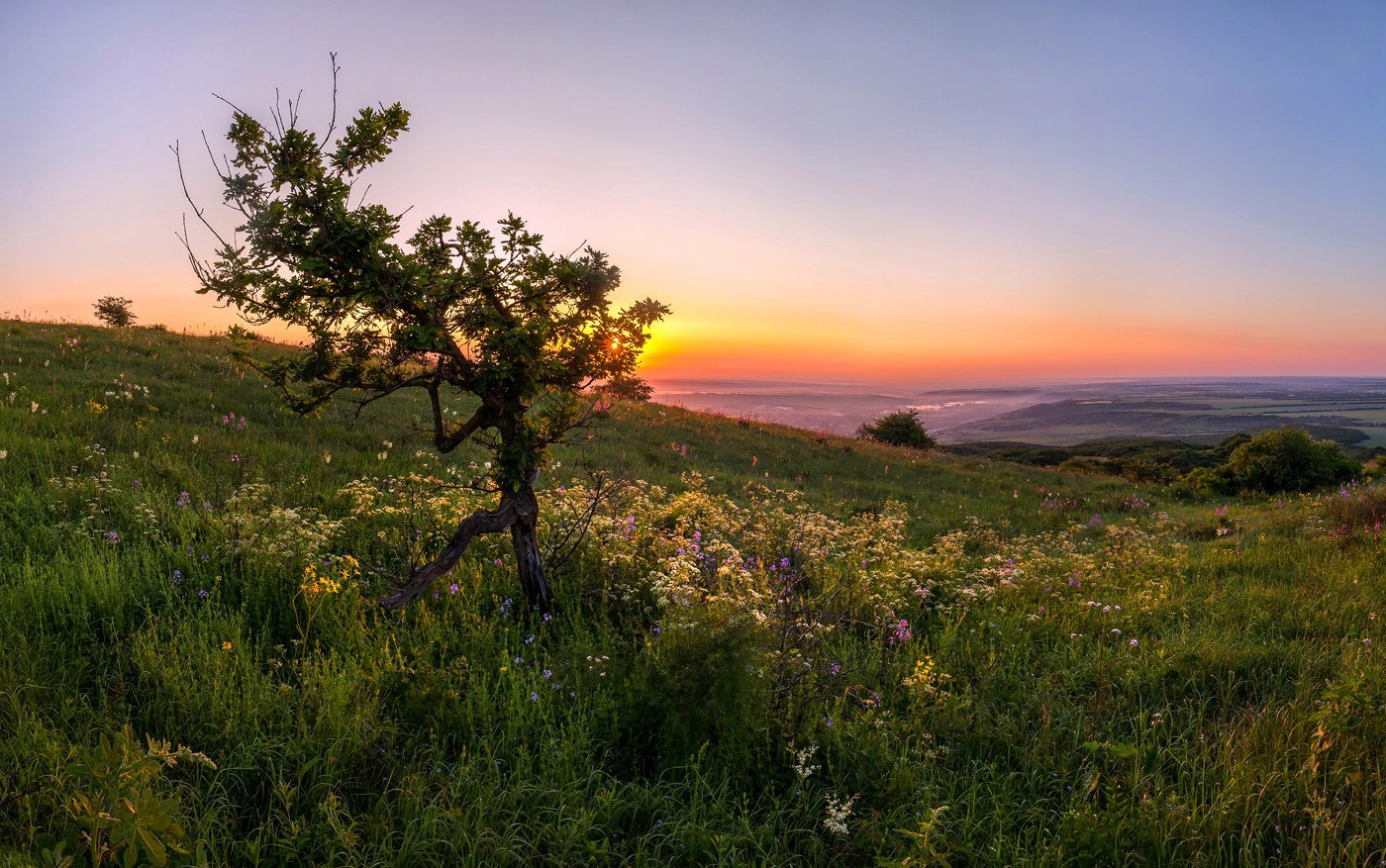 Little Groot. - Groot, The beginning of the way, Stavropol region