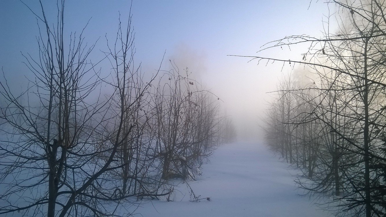 Spring fog at the Ob HPP - My, Fog, Obges, Novosibirsk, Russia, Spring, Silent Hill, Nature, Longpost