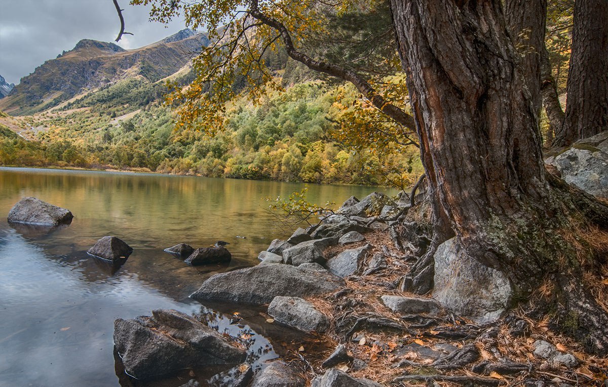 Teberda Reserve - North Caucasus, Reserve, Greenery, Russia, The photo, Nature, Forest, Landscape, Longpost, Reserves and sanctuaries