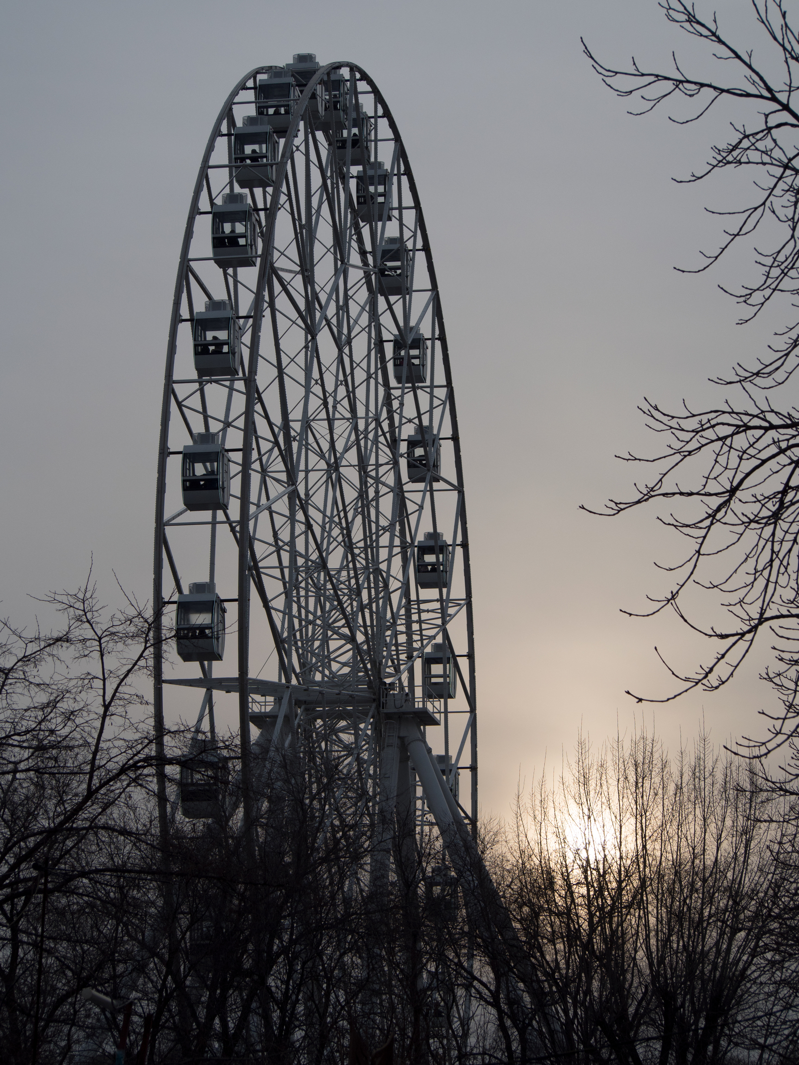 Ferris wheel in Rostov-on-Don - My, Rostov-on-Don, Ferris wheel, Olympus, The photo