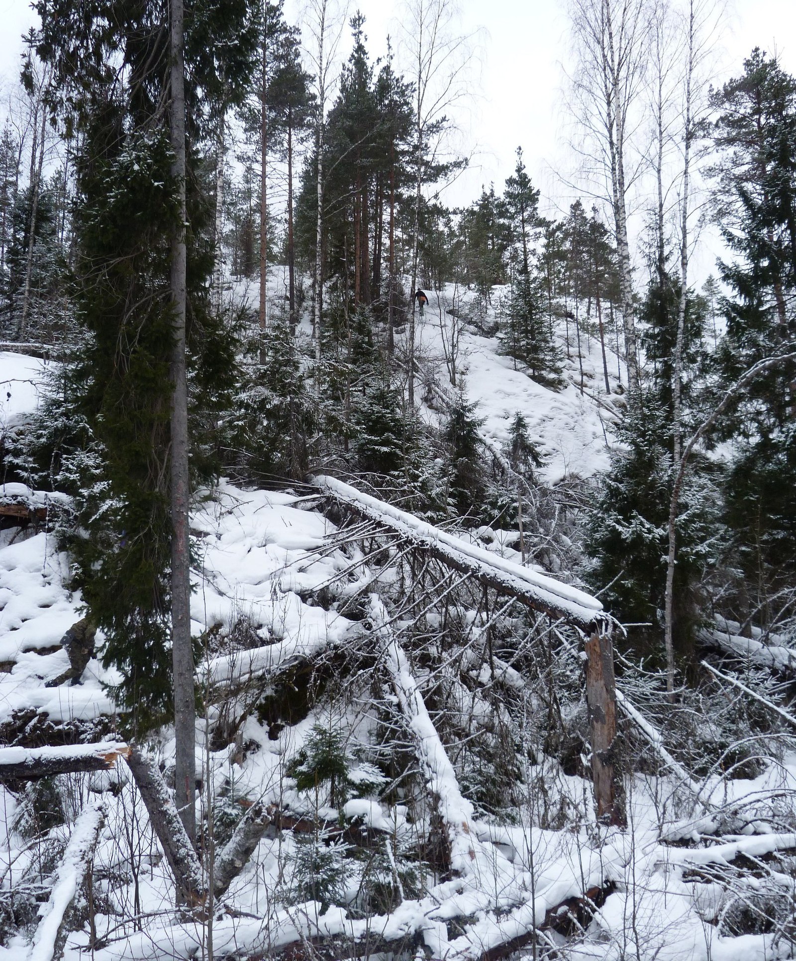 MEGA-THRESH - without any vanilla ... =)) - My, Travels, Travel across Russia, Карелия, Hike, Longpost, Tent, Forest