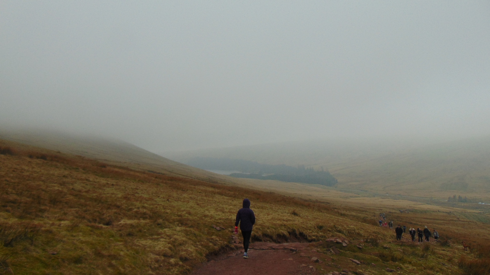 The life of a Russian engineer in the country of lords, sirs and peers (Wales) - My, , Great Britain, Wales, Fog, Longpost, Weekend