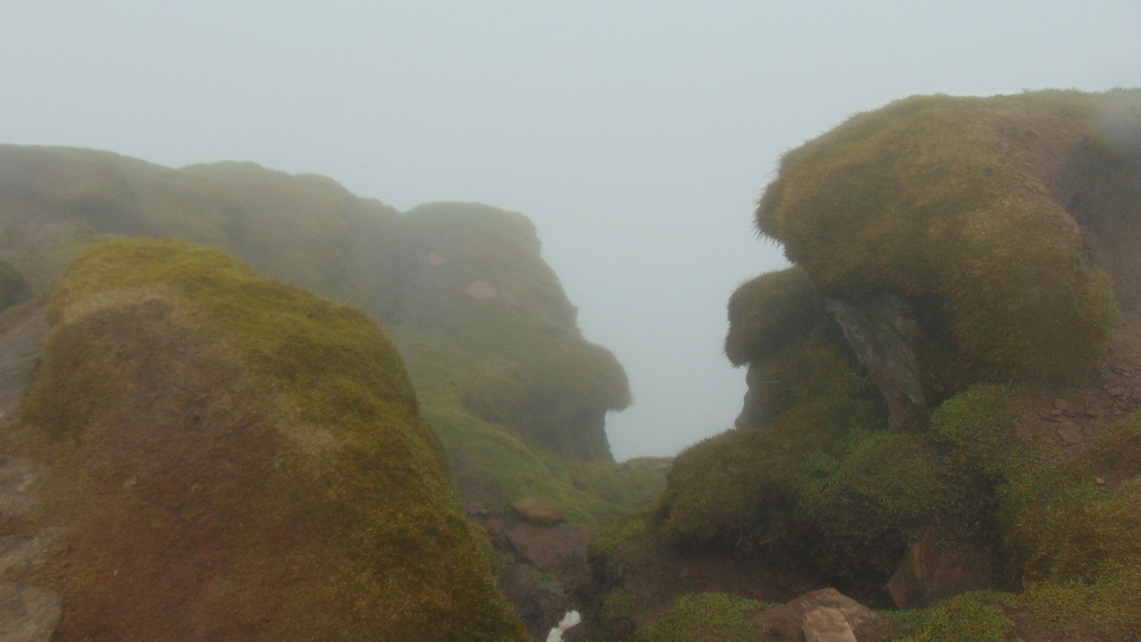 The life of a Russian engineer in the country of lords, sirs and peers (Wales) - My, , Great Britain, Wales, Fog, Longpost, Weekend