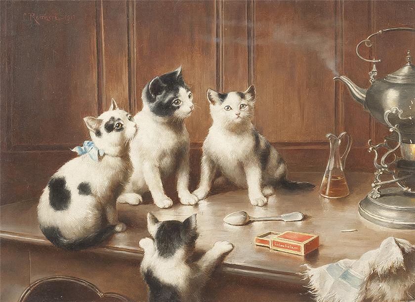 Author: Carl Reichert - cat, Kettle, Petersburg cats