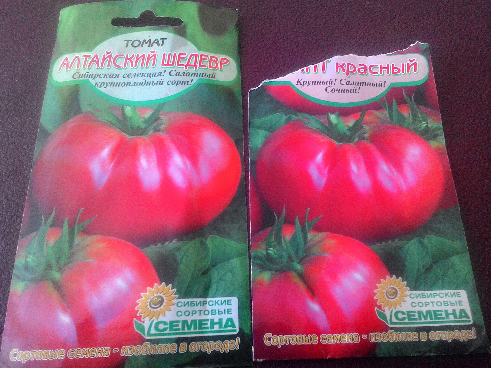 Семена томатов Алтайской селекции