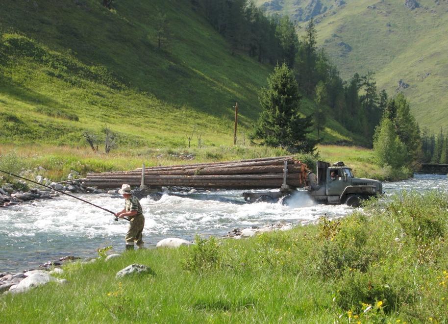 Hey man, push a little - The photo, Fishing, Timber carrier