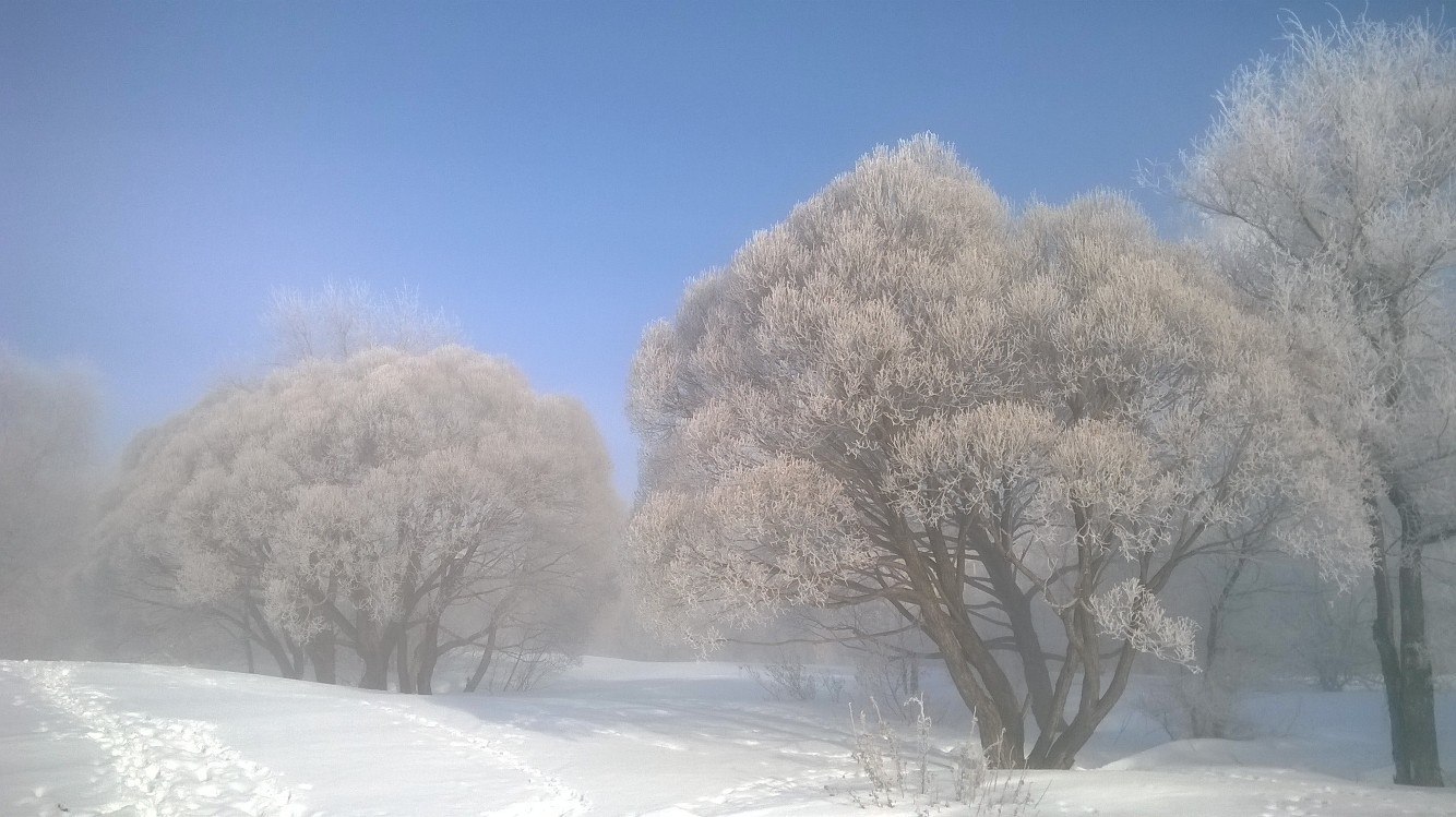 Fog at the Ob HPP. March 2017 - My, Obges, Novosibirsk, Fog, Silent Hill, Russia, Mystic, Hydroelectric power station, Nature, Video, Longpost