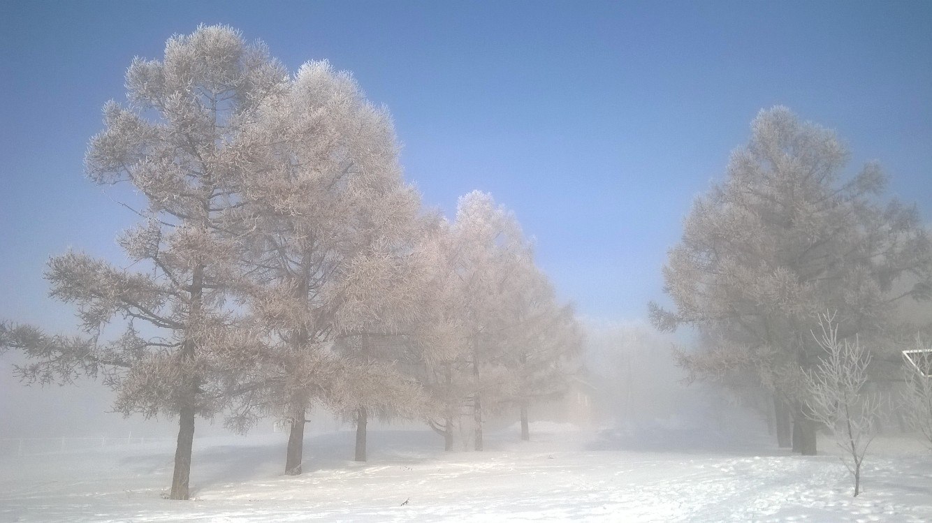 Fog at the Ob HPP. March 2017 - My, Obges, Novosibirsk, Fog, Silent Hill, Russia, Mystic, Hydroelectric power station, Nature, Video, Longpost