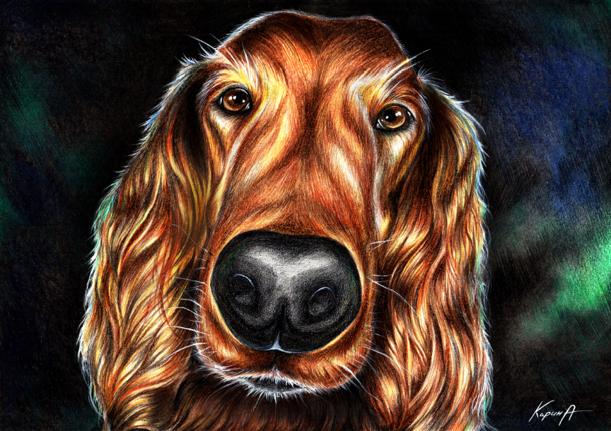 Drawing with watercolor pencils and pastels. - My, , Watercolor pencils, Pastel, Artist, , Dog