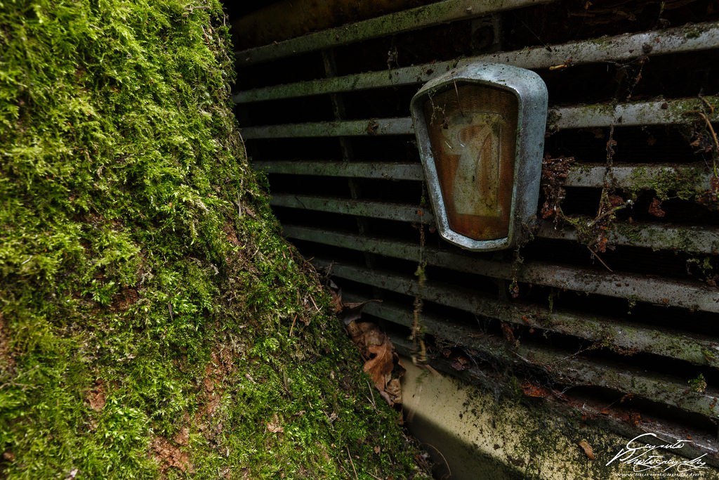 Abandoned Lada in the forests of Belgium. - Lada, Abandoned, Belgium, Longpost