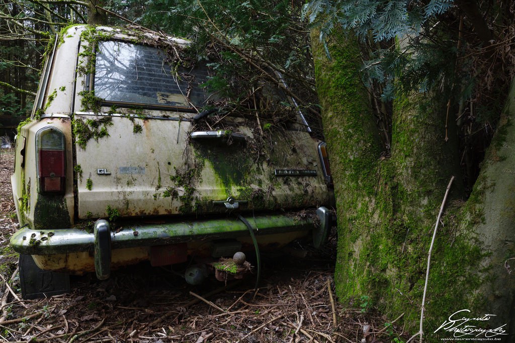 Abandoned Lada in the forests of Belgium. - Lada, Abandoned, Belgium, Longpost