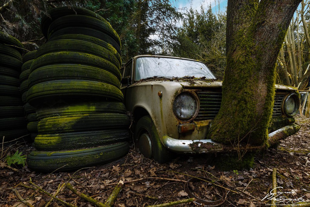 Abandoned Lada in the forests of Belgium. - Lada, Abandoned, Belgium, Longpost