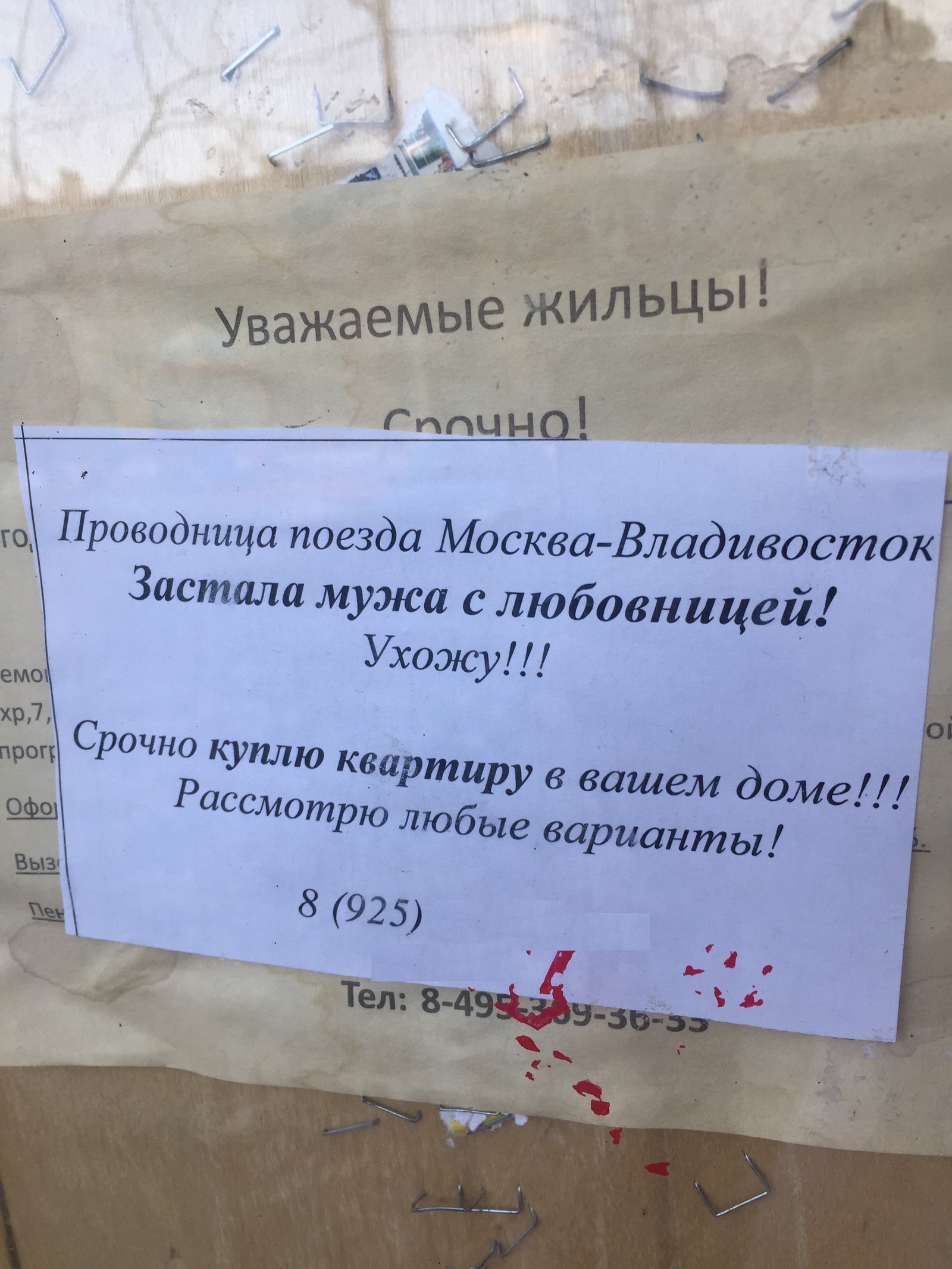 Жаль проводницу.....Зарабатывает наверное хорошо на чае и шоколадках ; ) - Моё, Объявление, Боги маркетинга, Россия