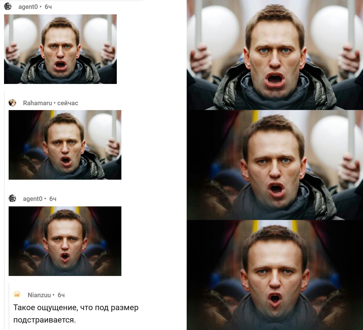 Setting - Politics, Alexey Navalny, Comments, Humor