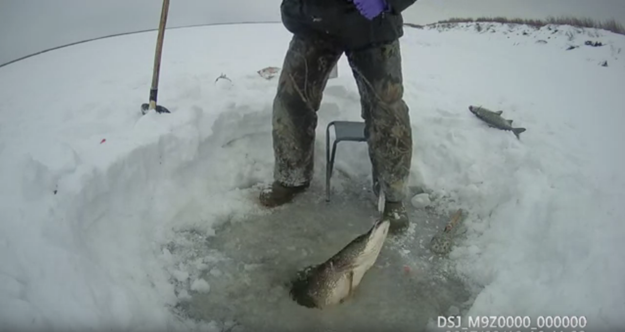 Fishing выезд на рыбалку от 19.03.2017 окунь щука! Якутия - Якутия, Клевая рыбалка, Рыбалка, Щука, Окунь, Рыбалка в Якутии, Видео