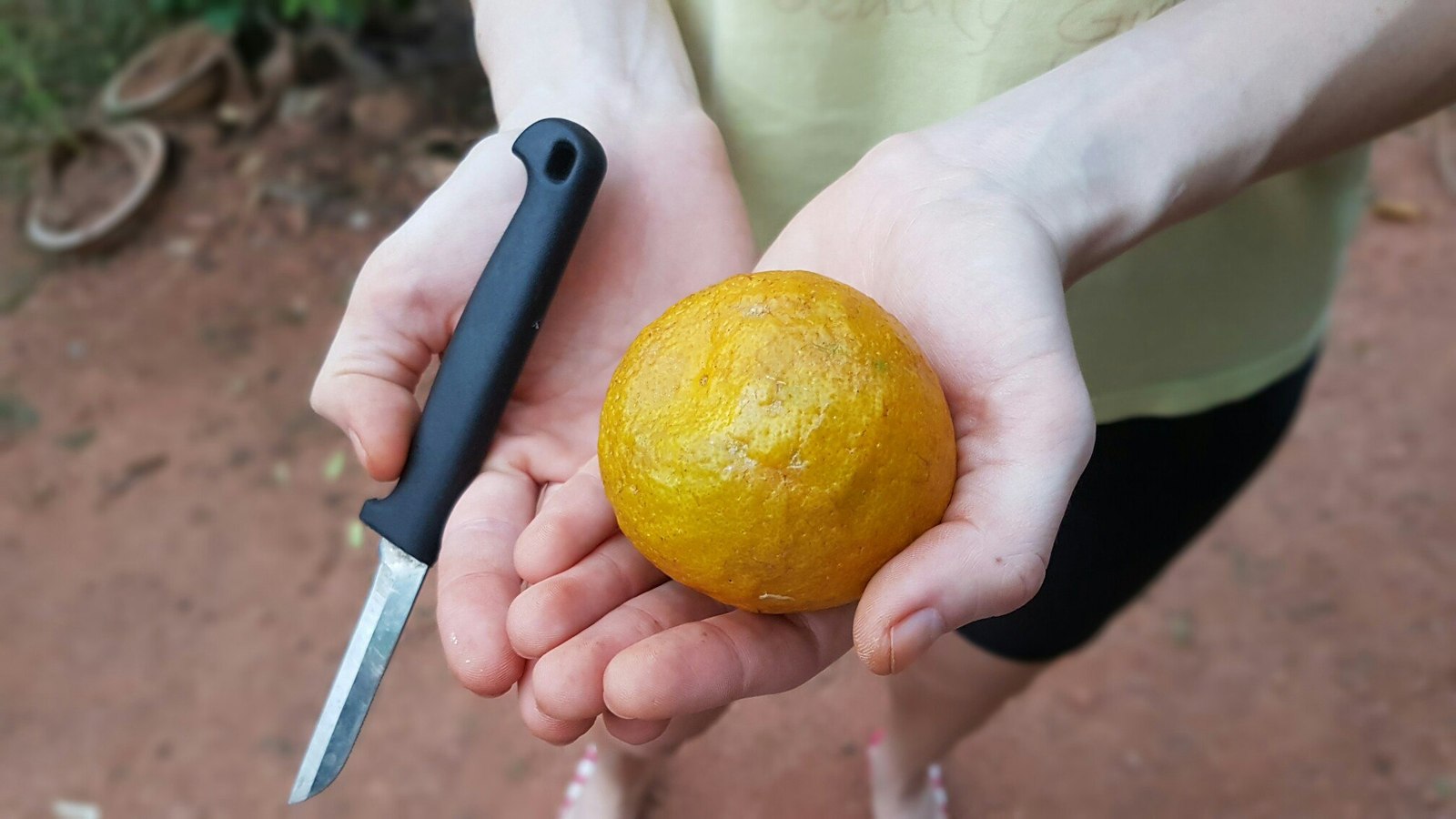 Sri Lanka 3 (fruit) - My, Фрукты, Banana, , Village, Jackfruit, Coconut, Orange, Cherries, Longpost