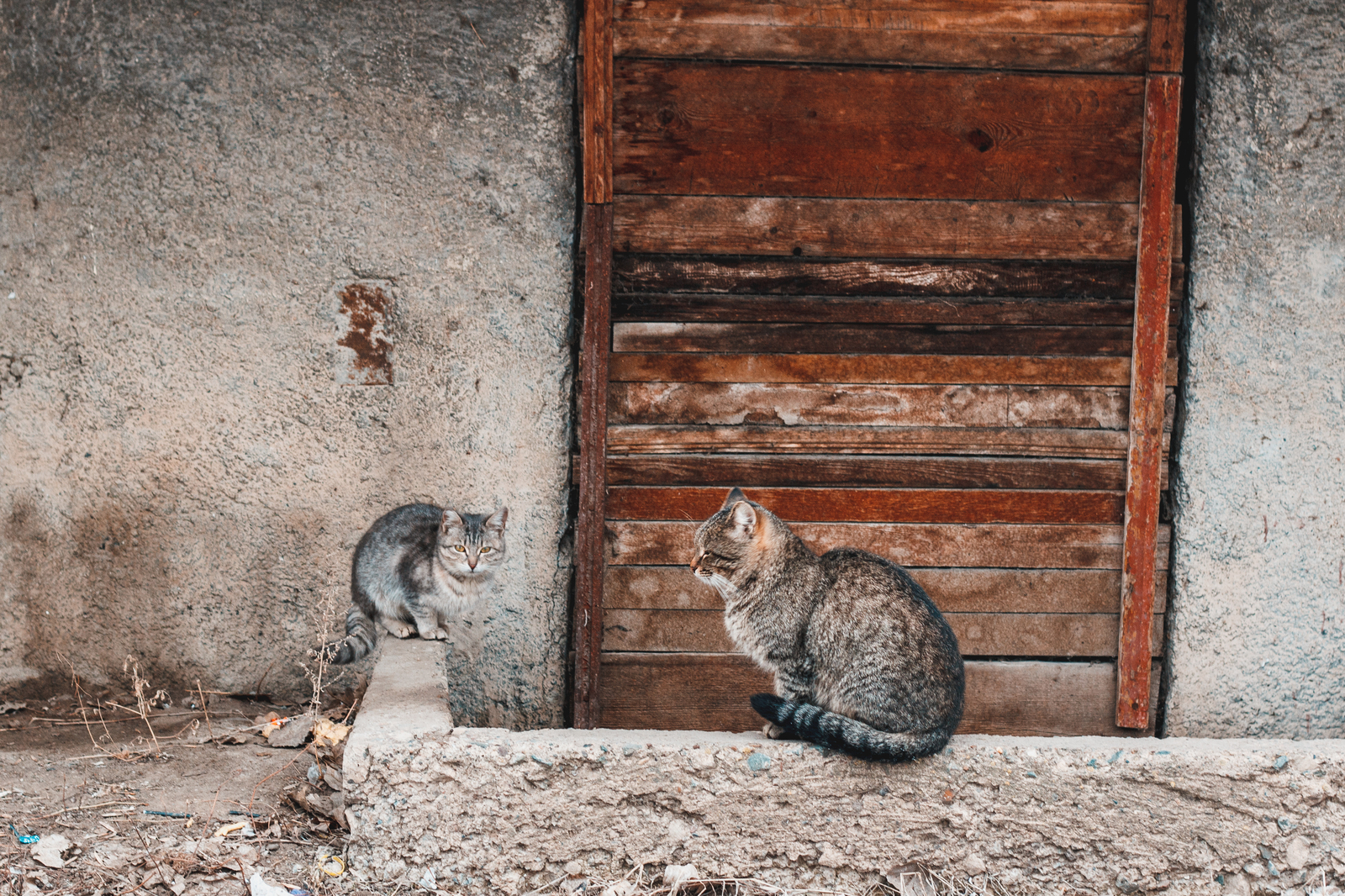 Street photo, or so I see - My, Canon, Lightroom, , Kazakhstan, Uralsk, The photo, Longpost