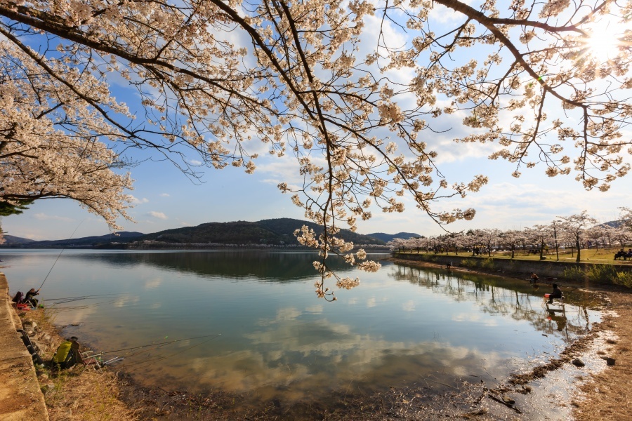 This is how spring comes in different parts of the world - Spring, Summer, Country, Russia, Longpost