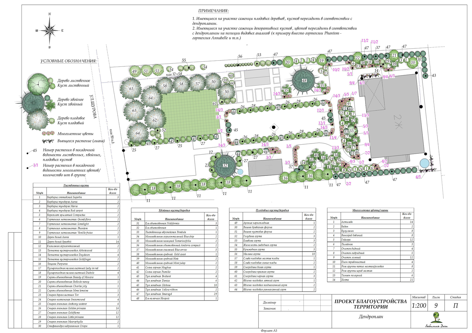 Landscaping turnkey lawn, plants - My, Paving stones, Building, Beautification, Landscape design, Dacha, Saint Petersburg, Lawn, Flowers, Longpost