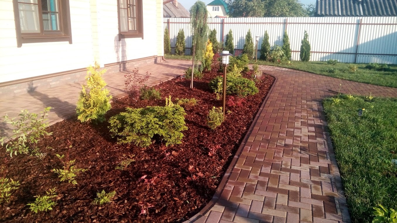 Landscaping turnkey lawn, plants - My, Paving stones, Building, Beautification, Landscape design, Dacha, Saint Petersburg, Lawn, Flowers, Longpost