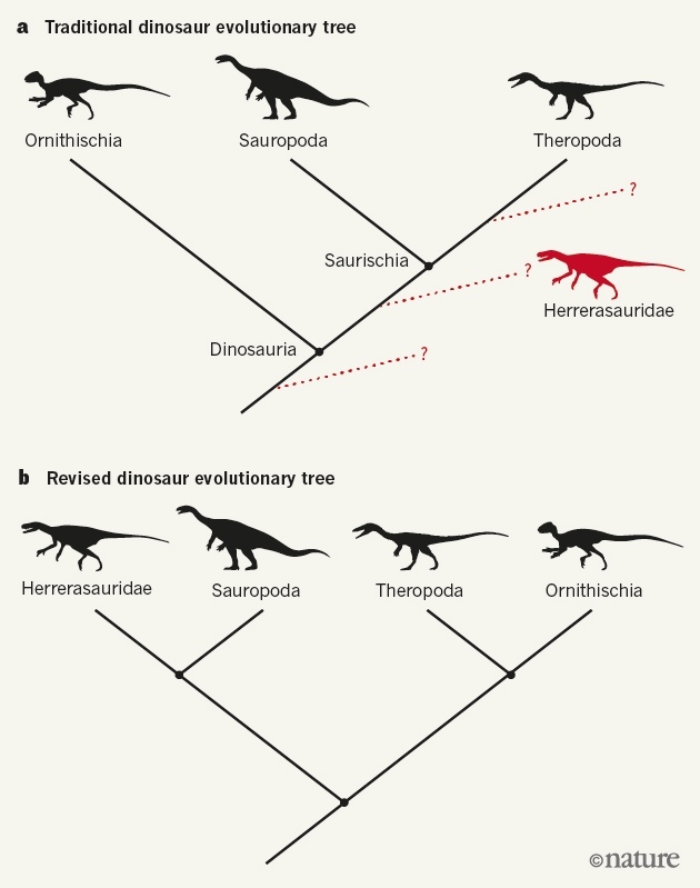 Fundamental revision of dinosaur classification proposed - The science, Dinosaurs, Classification, Longpost, Paleontology