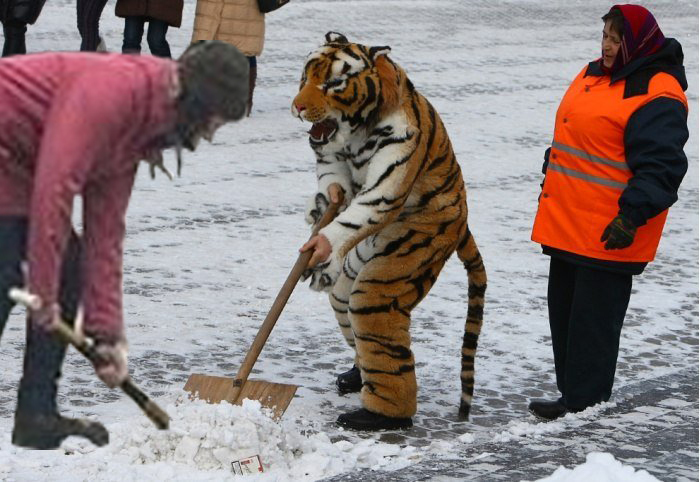 Memes on the topic of the day: a young mother, a stroller and snowy Ufa - My, Ufa, Snow, Bashkortostan, Trenches, Snowdrift, Alexey Navalny, Video, Longpost