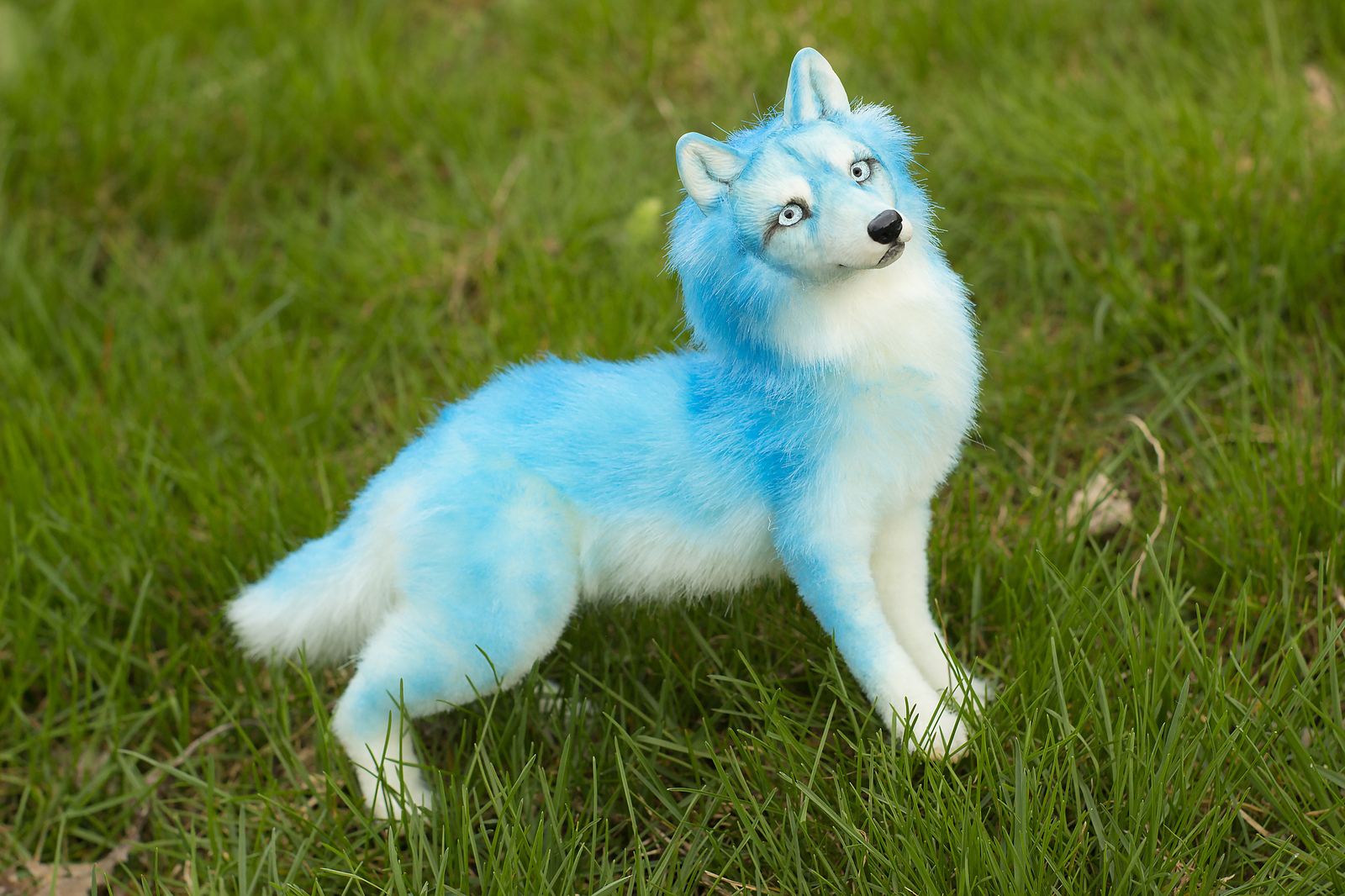 Ice wolf. - My, Wolf, Handmade, Author's toy, Longpost