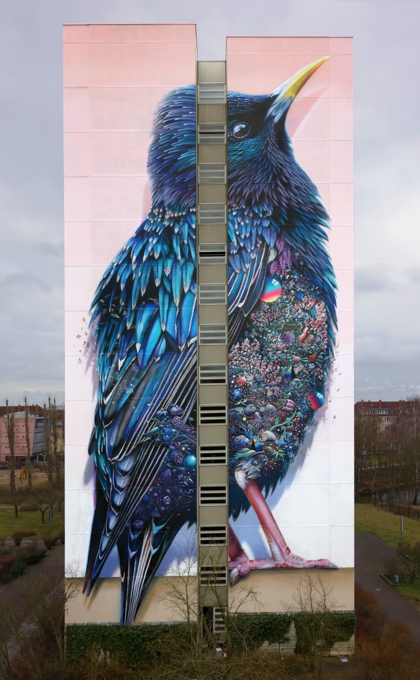 Street art - , , Street art, Birds