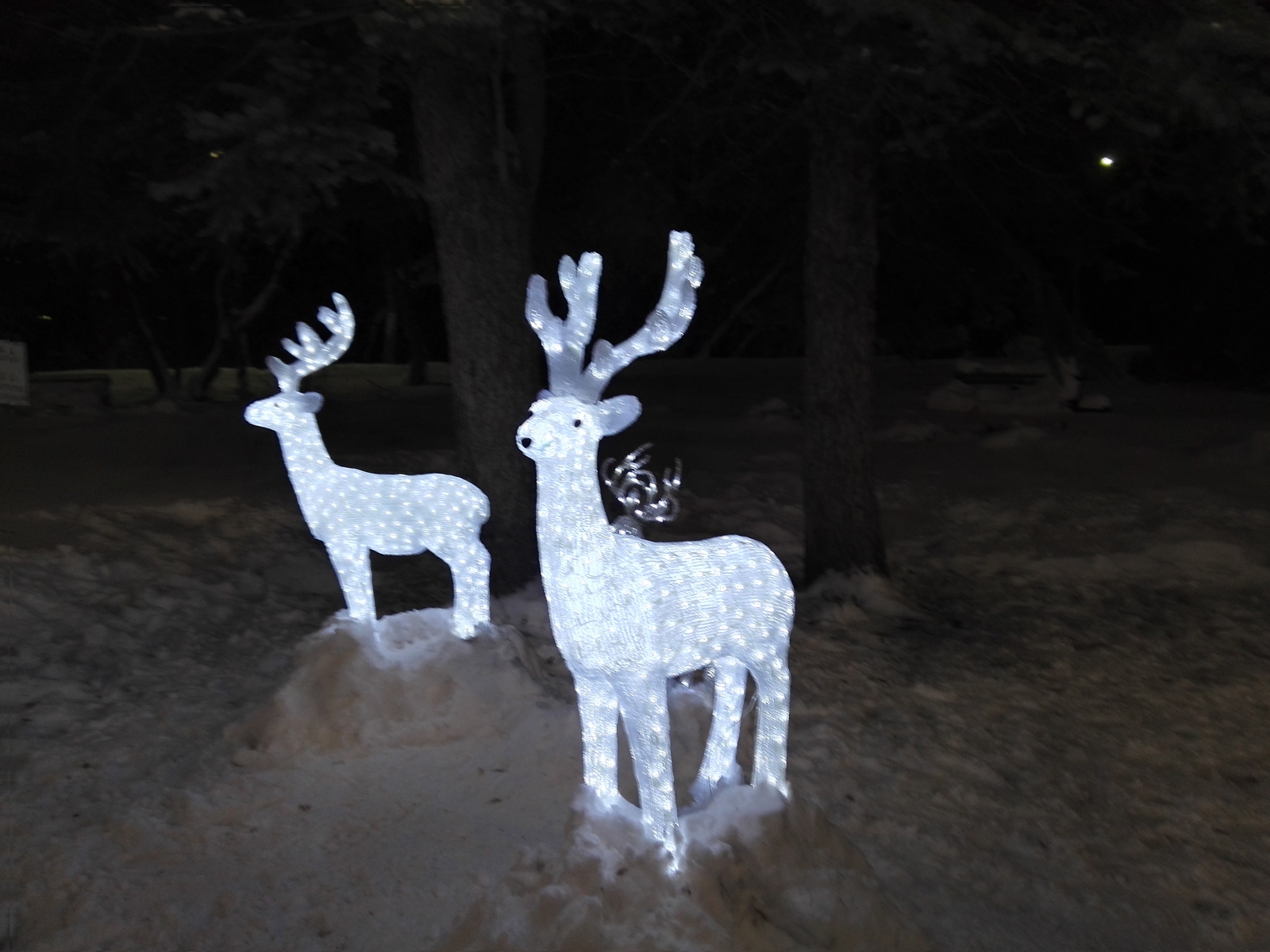 Tomsk Ice sculptures - My, Tomsk, , Ice sculpture