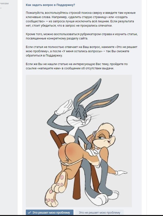 The same bunny picture that users uploaded to the Support FAQ during the site crash a few days ago - NSFW, Crash, In contact with, Social networks