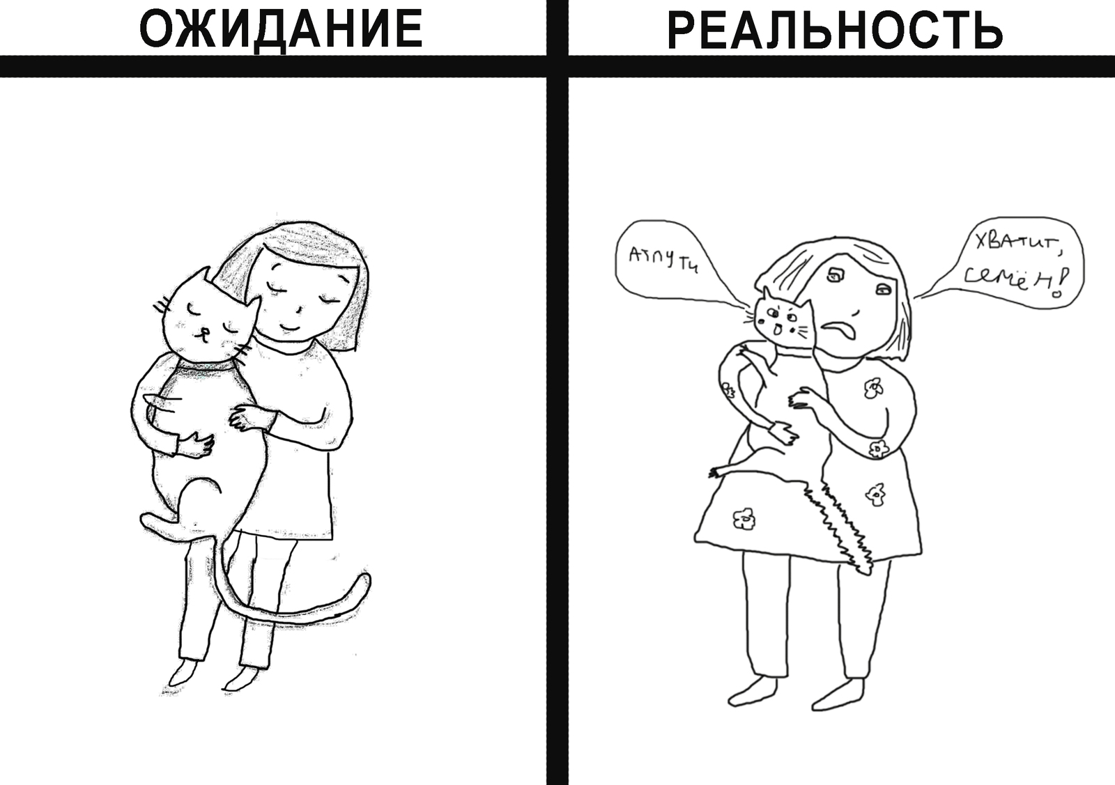 Коты | Пикабу
