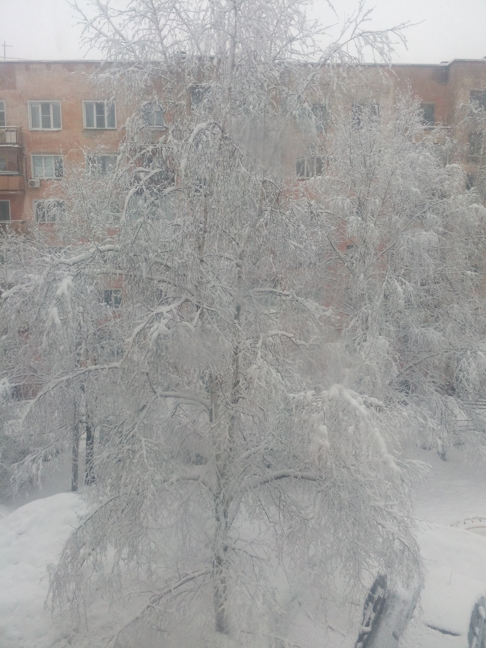 And we have winter... - My, Winter, Kirov, Snow