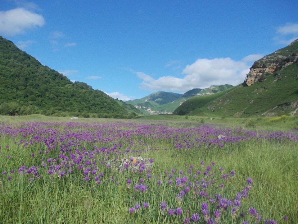 Tyzyl gorge. - Nature, , Cbd, Russia, , Video, Longpost, Kabardino-Balkaria