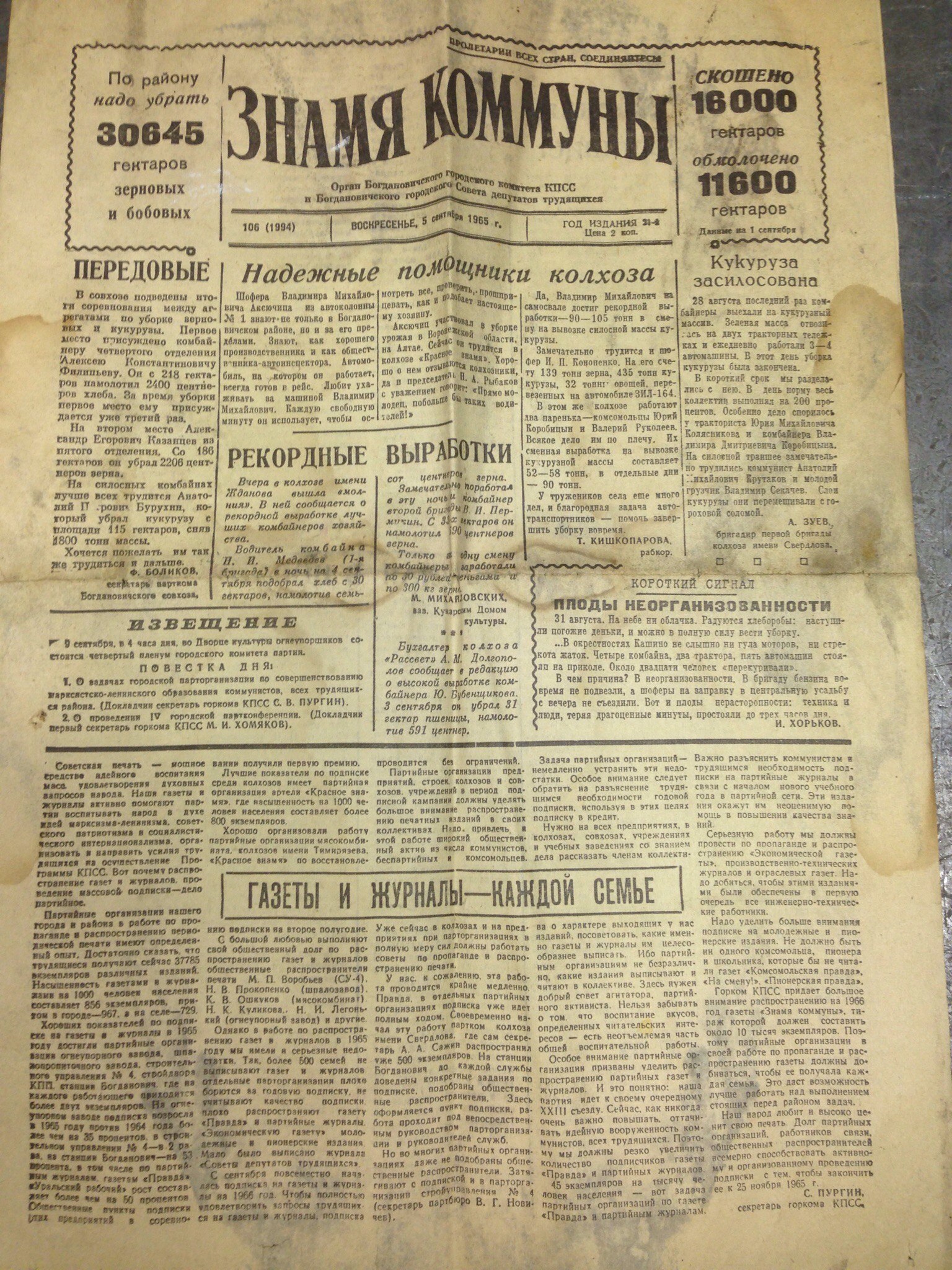 Local newspaper 1965 - My, Newspapers, Collective farm, the USSR, Longpost