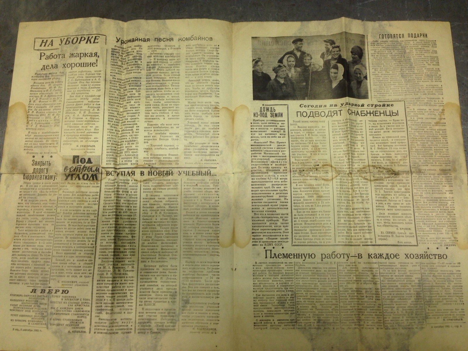 Local newspaper 1965 - My, Newspapers, Collective farm, the USSR, Longpost