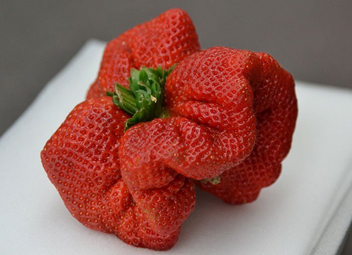 Here is a strawberry - Strawberry, , Appetizing, Summer