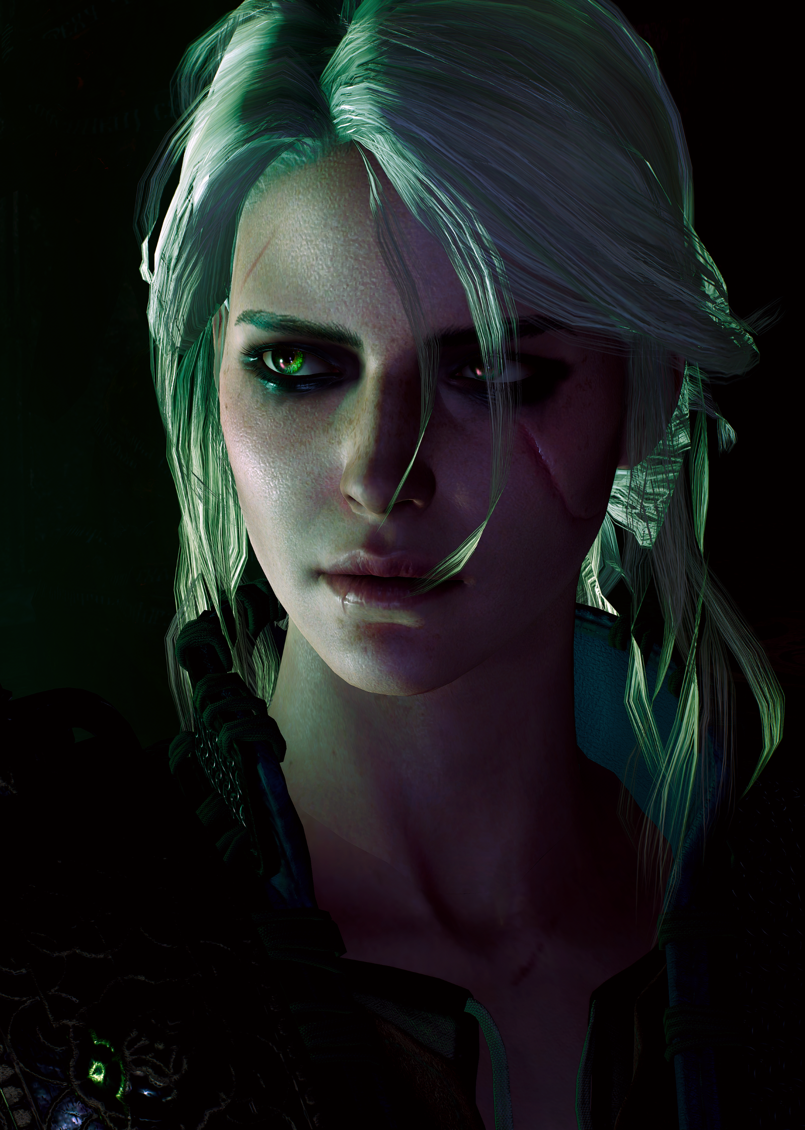 Ciri - Witcher, The Witcher 3: Wild Hunt, , , Wiedzmin, Andrzej Sapkowski, , Longpost