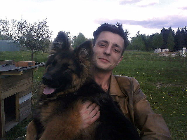 German Shepherd - My, Dog, German Shepherd