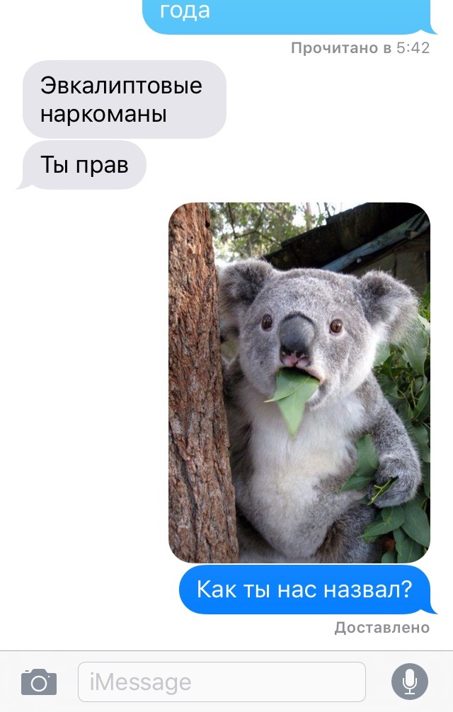 Well, repeat - My, Koala, Eucalyptus, Addiction