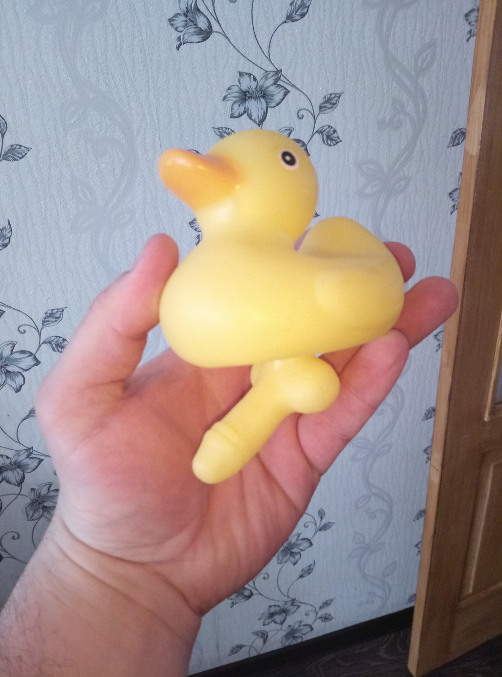 duck? - NSFW, My, What's this?, Suddenly, Toys, Longpost