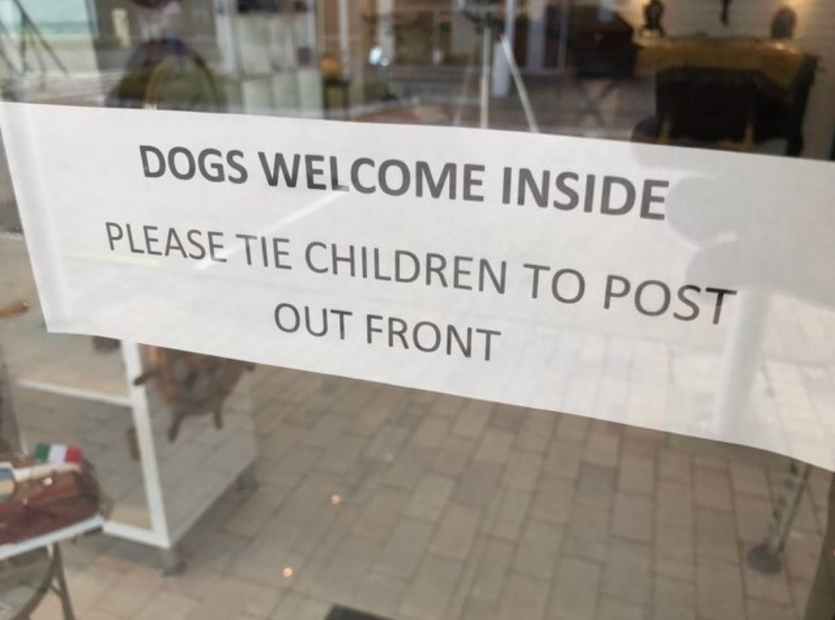 Suddenly - Children, Dog, Score, Rules