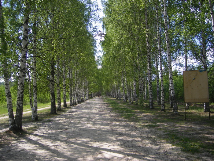 The invisible city of Kitezh - My, Kitezh, Rus, Legend, Places of Power, Longpost