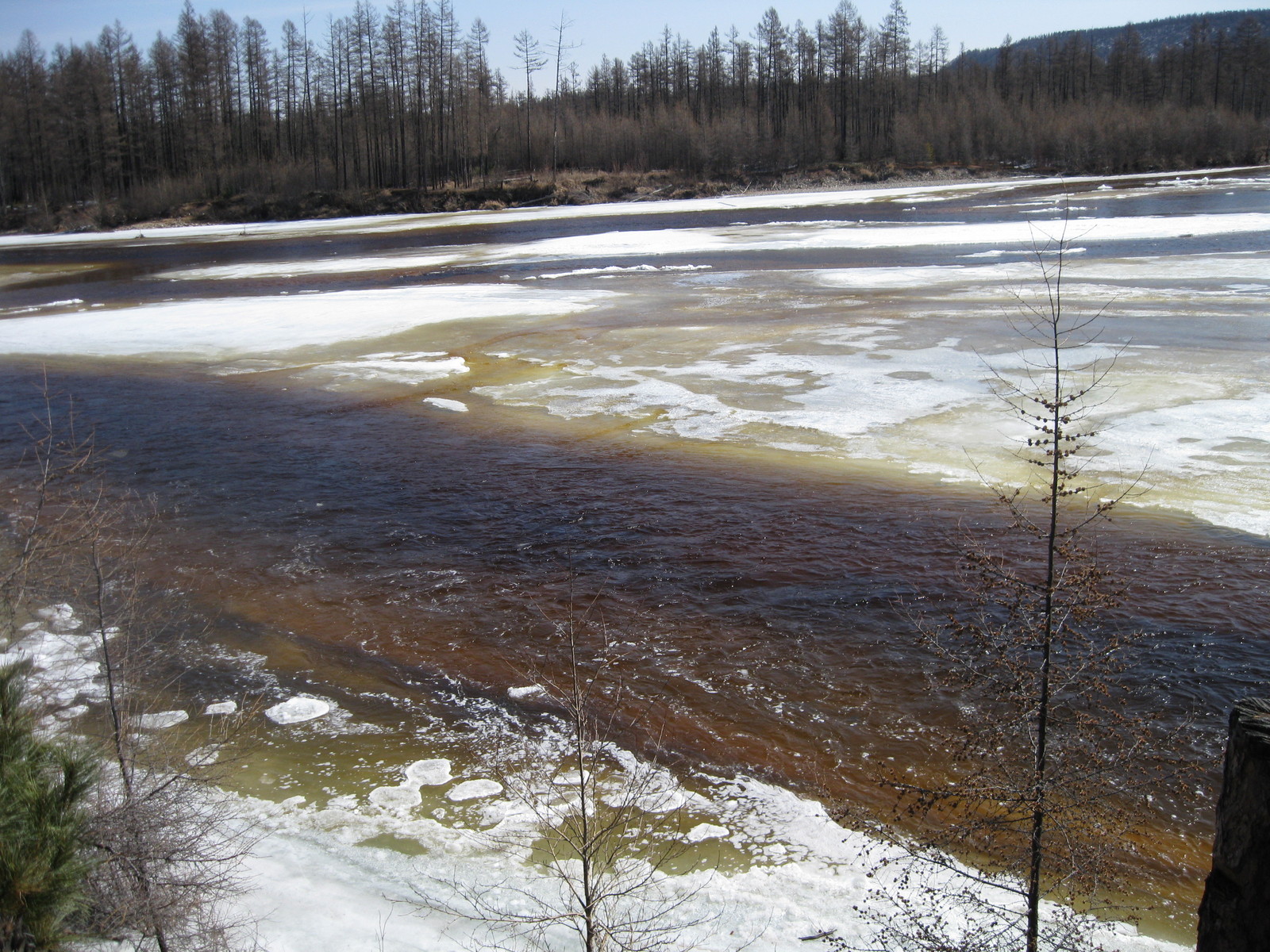 River Awakening. - My, wildlife, beauty of nature, , , Longpost, River, Yakutia, The photo