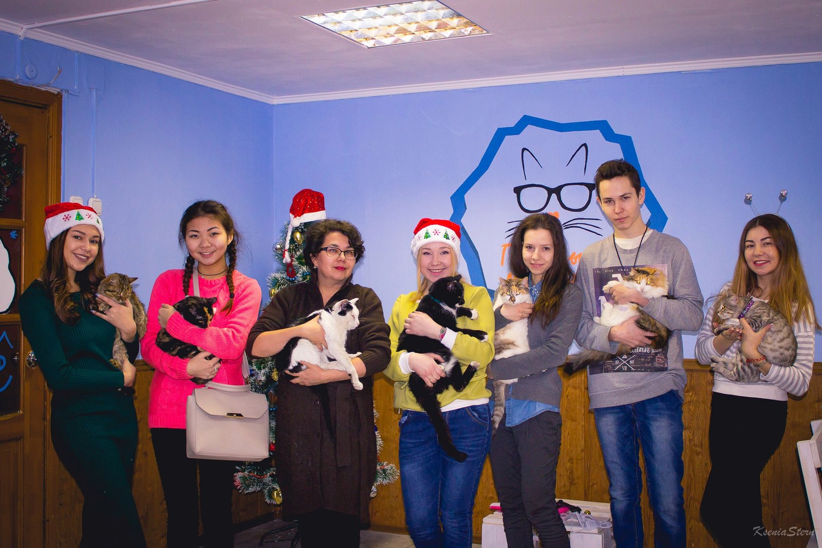 The history of the cat cafe in the bowels of Eastern Siberia - Cat cafe, cat, Startup, Overcoming, Longpost