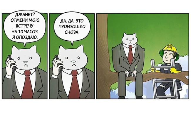 businessman cat - Business cat, Comics, Longpost, cat