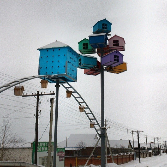 Dormitory birdhouses - My, Birdhouse, Samara Region, Travel notes, Amazing, , Dormitory, Longpost