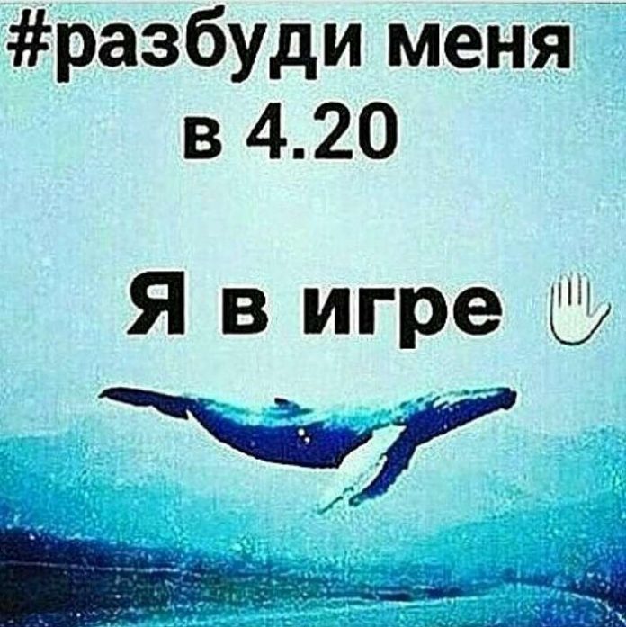 Mass hysteria with groups of death turned into a PR - My, Groups of death, Blue whale, PR, In contact with, Fight, Rostov region