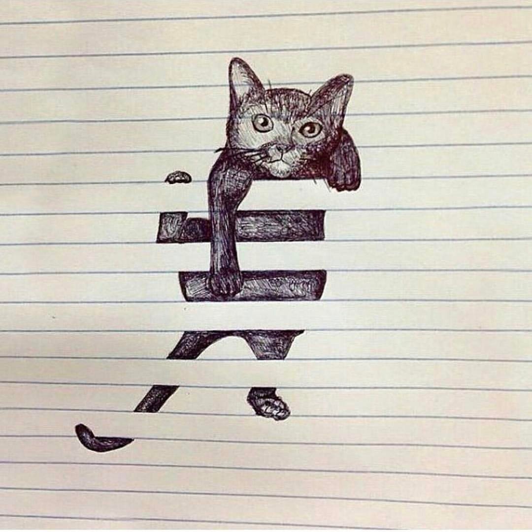 Just a cat - Images, Laugh, Joke, Funny, Drawing, Humor, Pencil, cat