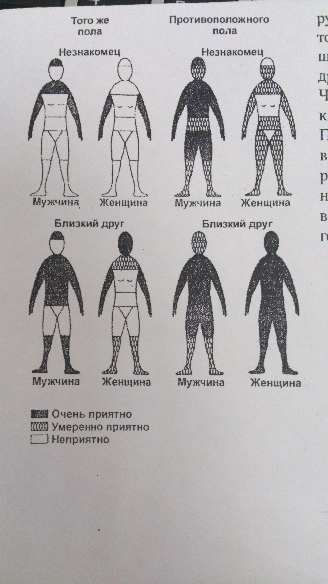 Где кому за что лучше трогать | Пикабу