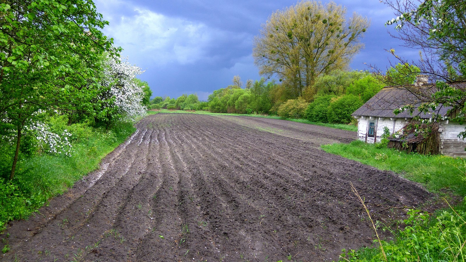 Thunder front - My, Thunderstorm, Nature, The photo